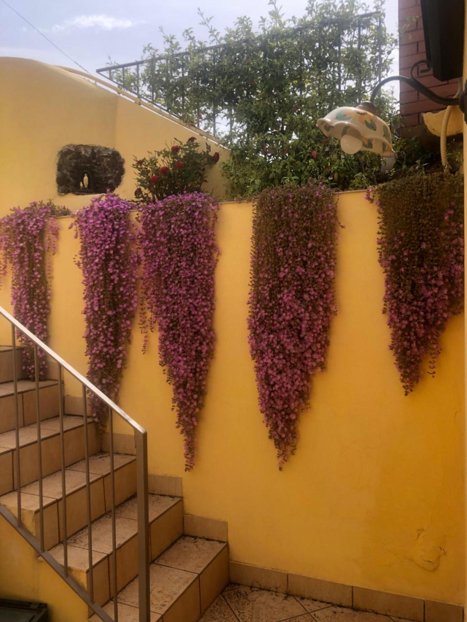 Camilla Affitta Camere Nicolosi Exterior photo